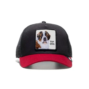 Goorin Bros Top Dog Trucker Void Black/Crush