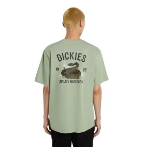 Dickies Snake SS Tee Iceberg Green