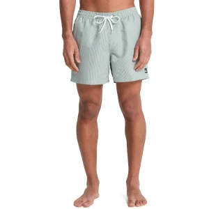 Quiksilver Everyday Deluxe 15 Short Forest