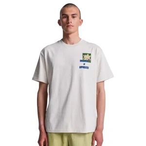 RVCA Antonia Figueiredo Love Birds T-Shirt Moonbeam
