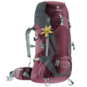 Mochila Deuter Pilgrim 30+5 SL