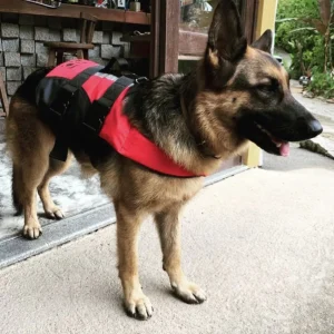 Colete XtremeBags Pet